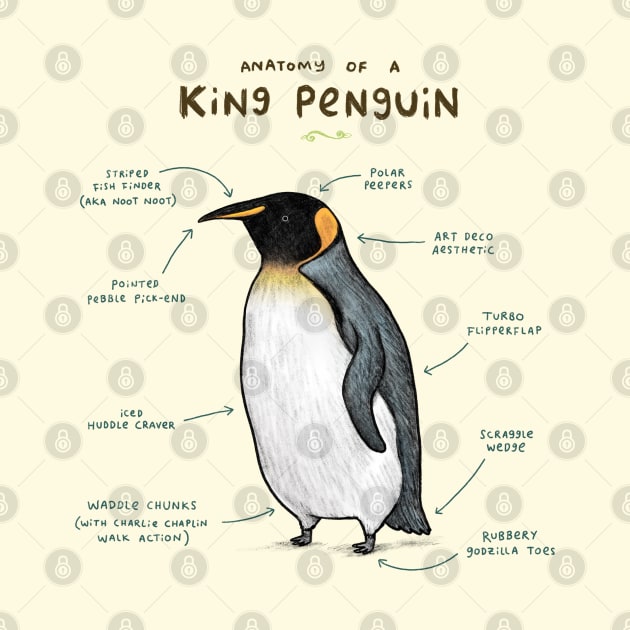 Anatomy of a King Penguin by Sophie Corrigan