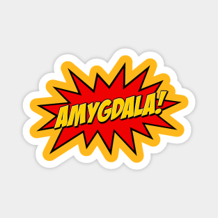 Amygdala! Magnet