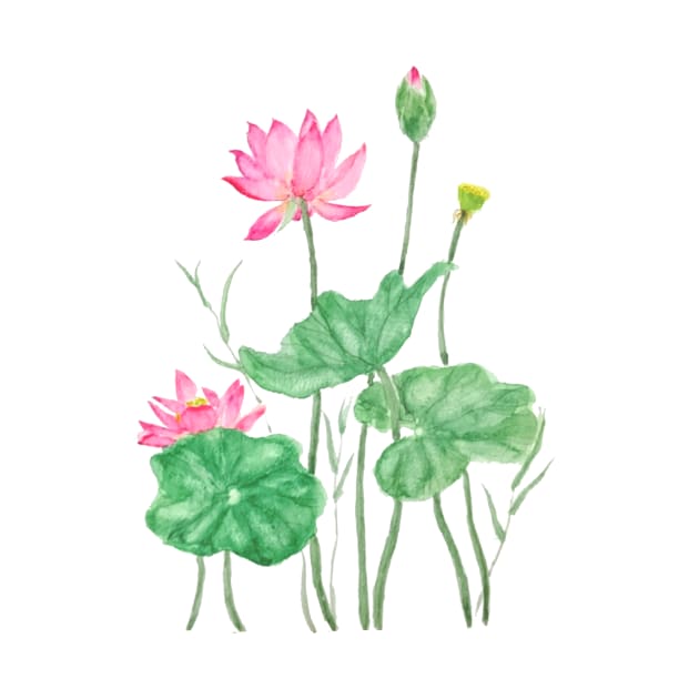 pink lotus flowers watercolor by colorandcolor