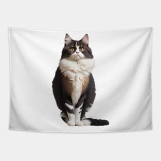 Maine coon cat Tapestry