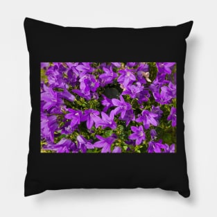 Campanula Flowers Pillow