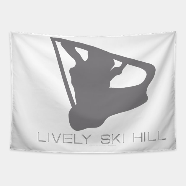 Lively Ski Hill Resort 3D Tapestry by Mapsynergy