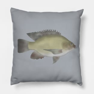 Mango Tilapia Pillow