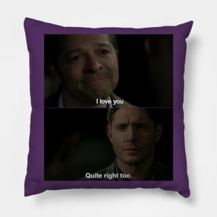 Superwho Destiel meme Pillow