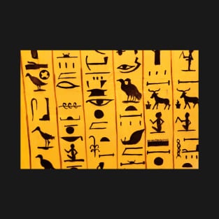 Egyptian hieroglyphs T-Shirt