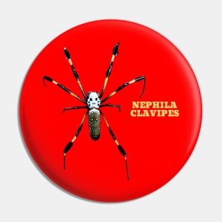 NEPHILA CLAVIPES Pin