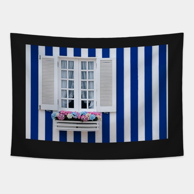 Beautiful typical window Tapestry by homydesign