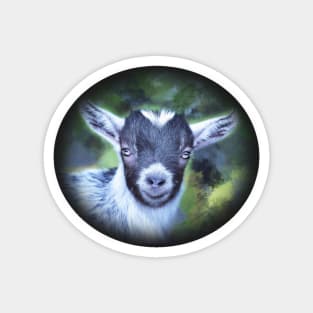 Portrait of a Goat - Pygmy Kid Magnet