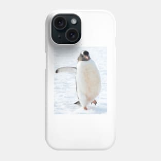 A gentoo penguin out for a stroll..... Phone Case