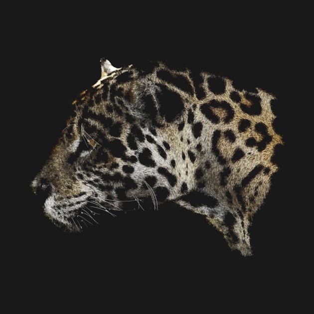 Jaguar Waterpixels by InfinityTone