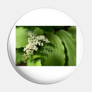 False Solomon's Seal Pin