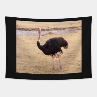 Ostrich Tapestry