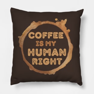 Coffee Is My Human Right, Coffee Is A Human Right, Life Is Short Drink Good Coffee, Coffee Lovers Pillow