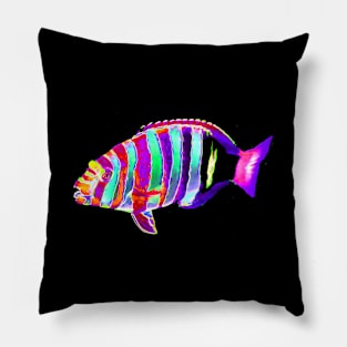 Harlequin Tusk Wrasse Fish Pillow