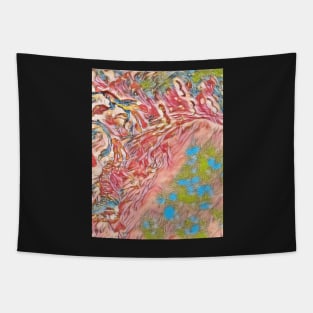 Fanciful Pink Skies Tapestry