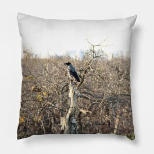 Raven Pillow