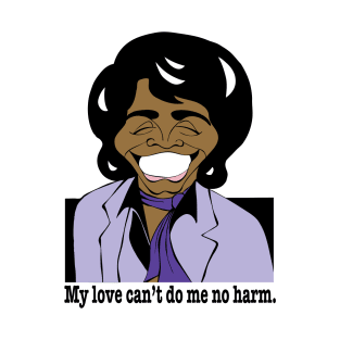 James Brown Godfather of Soul fan art T-Shirt