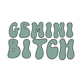 Gemini bitch T-Shirt