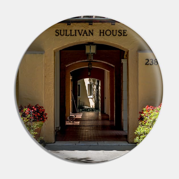 Sullivan House Cat Rollins College Pin by Enzwell