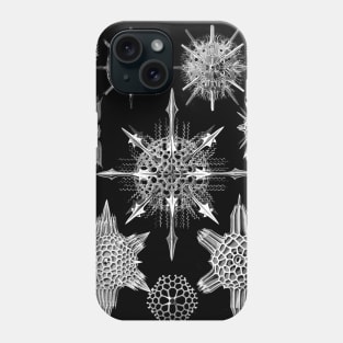 Ernst Haeckel Art Forms of Nature -  Acanthophracta Radiolaria Phone Case