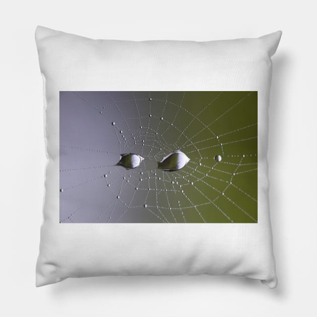 Spider web Pillow by annalisa56