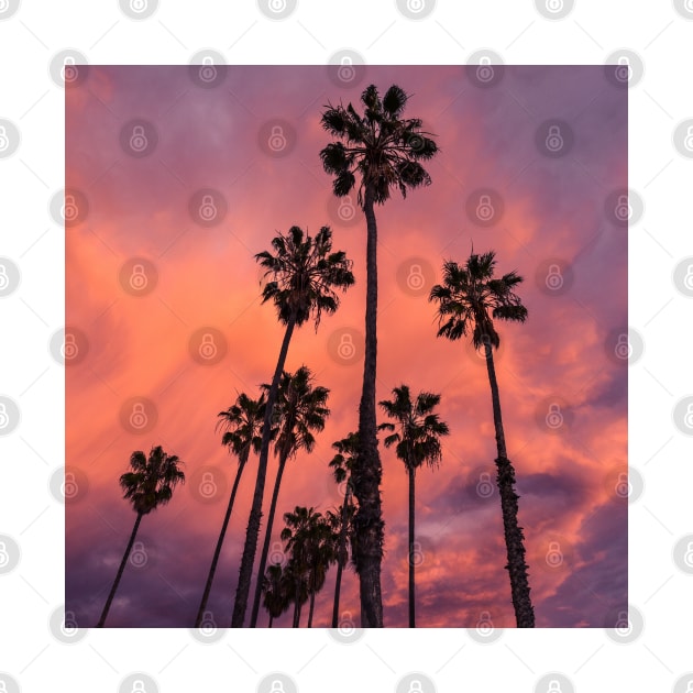 California Palm Tree Sunset by ArtoTee