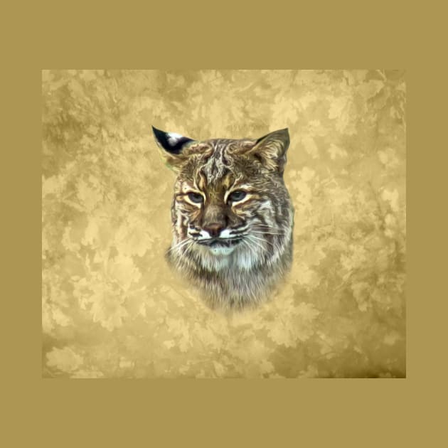 Bobcat by Guardi