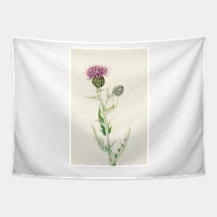 Prairie Thistle - Botanical Illustration Tapestry