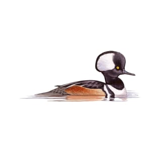 Hooded Merganser T-Shirt