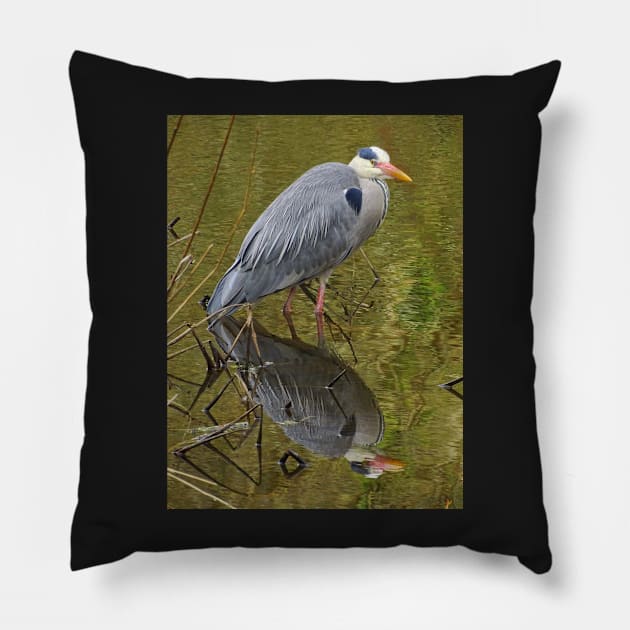 GREY HERON (Ardea cinerea) Pillow by dumbodancer