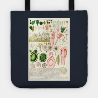 A fig dissection - Botanical Illustration Tote