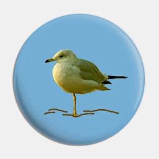 Seagull Perched on One Leg Pin