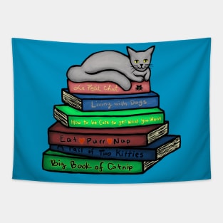 Cat Nap on Books Tapestry