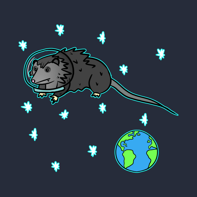 SPACE OPOSSUM by roxiqt