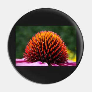 Echinacea Purpurea Pin