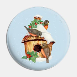 Winter Birds  and Christmas Birdhouse Pin