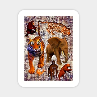 Zoo Animals Cartoon Magnet