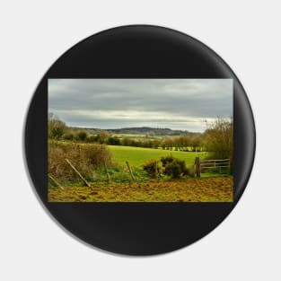 Lush Somerset Pin