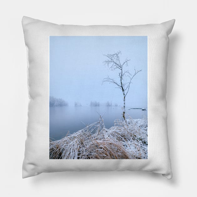 Calm lake landscape at winter Pillow by Juhku