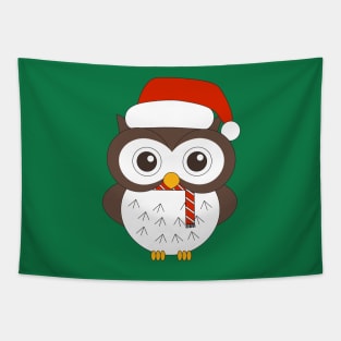 Christmas Mr. Owl Digital Art | Christmas Special | illusima Tapestry