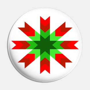 Christmas Cactus Star Pin