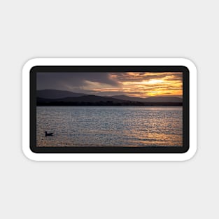 SUNSETS AND SUNRISES Magnet