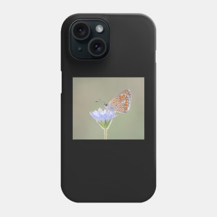 Brown Argus Butterfly on a Flower Phone Case