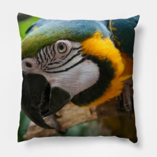 Parrot Pillow