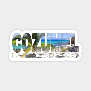 COZUMEL - Mexico Stunning Beach Paradise Magnet