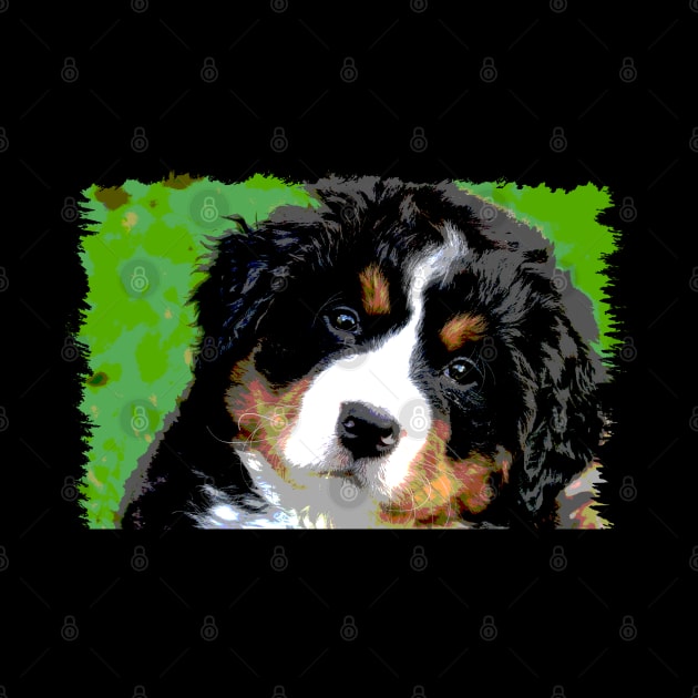 Bernese Mountain Dog Face by VanTees