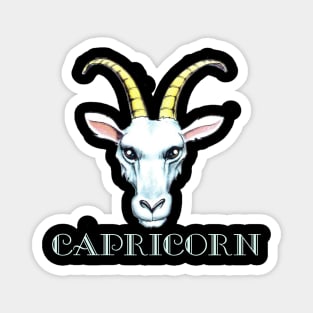 Capricorn Magnet