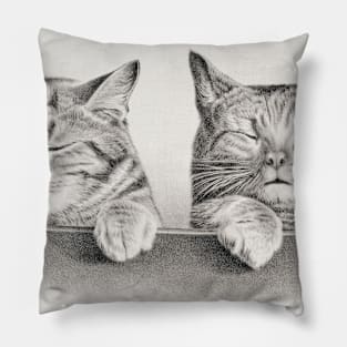 art Pillow