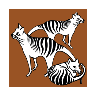 Group of 3 Tasmanian 'Tigers' T-Shirt