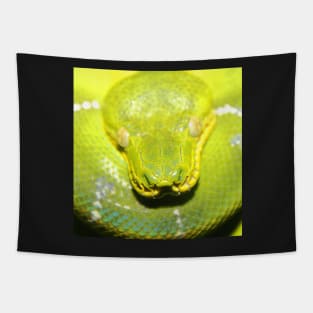 Emerald Tree Boa #2 Tapestry